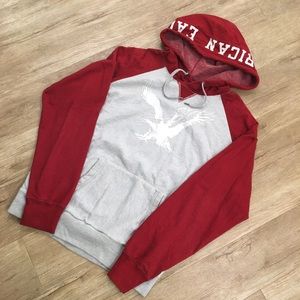 AEO Two tone hoodie